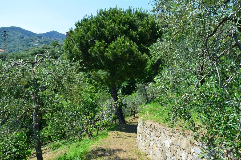 Villa Delle Rose Chiavari Bagian luar foto